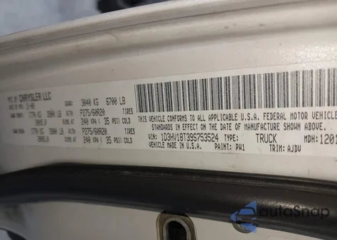 2009 Dodge Ram 1500 Slt/Sport/Trx from USA, damaged, VIN 1D3HV18T39S753524